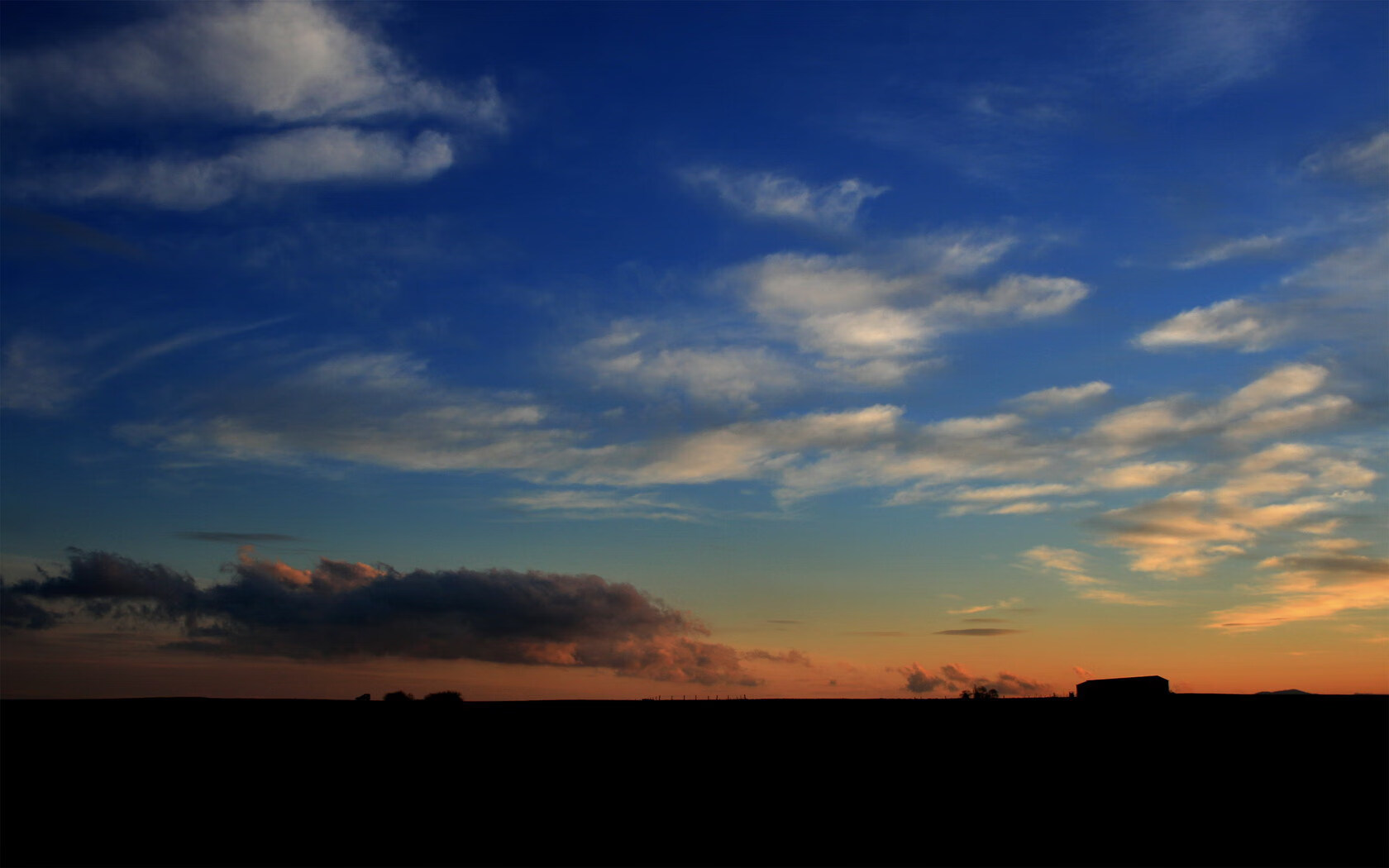 未来联盟:数字化、智能化推动篮球新纪元!,未来联赛