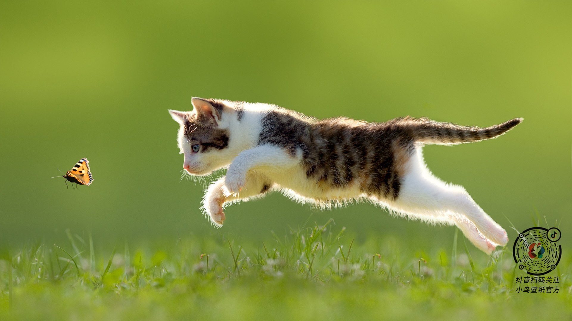 随机经典车型与赛道的黄金年代，经典赛车图片