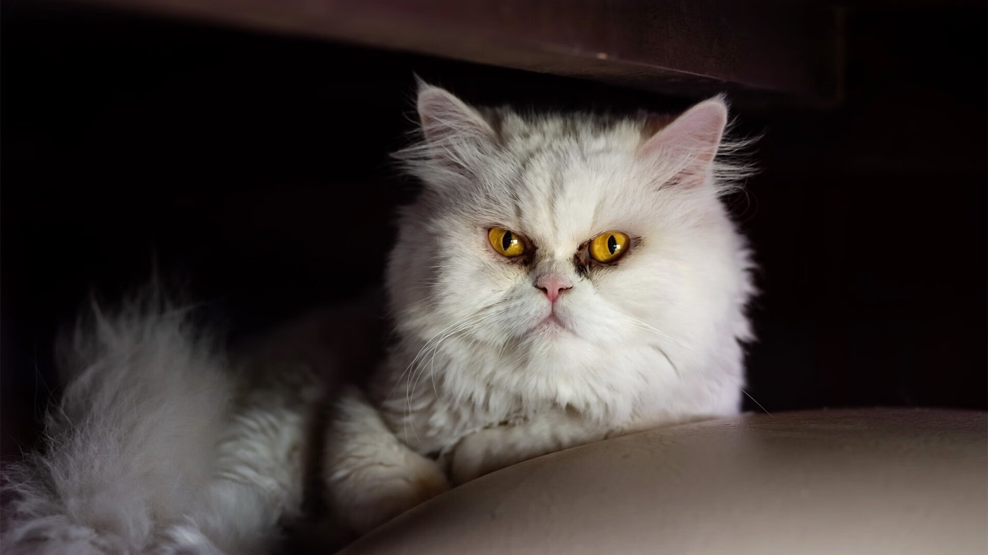 RB莱比锡突破攻势,逆转战胜对手,rb莱比锡老板是谁