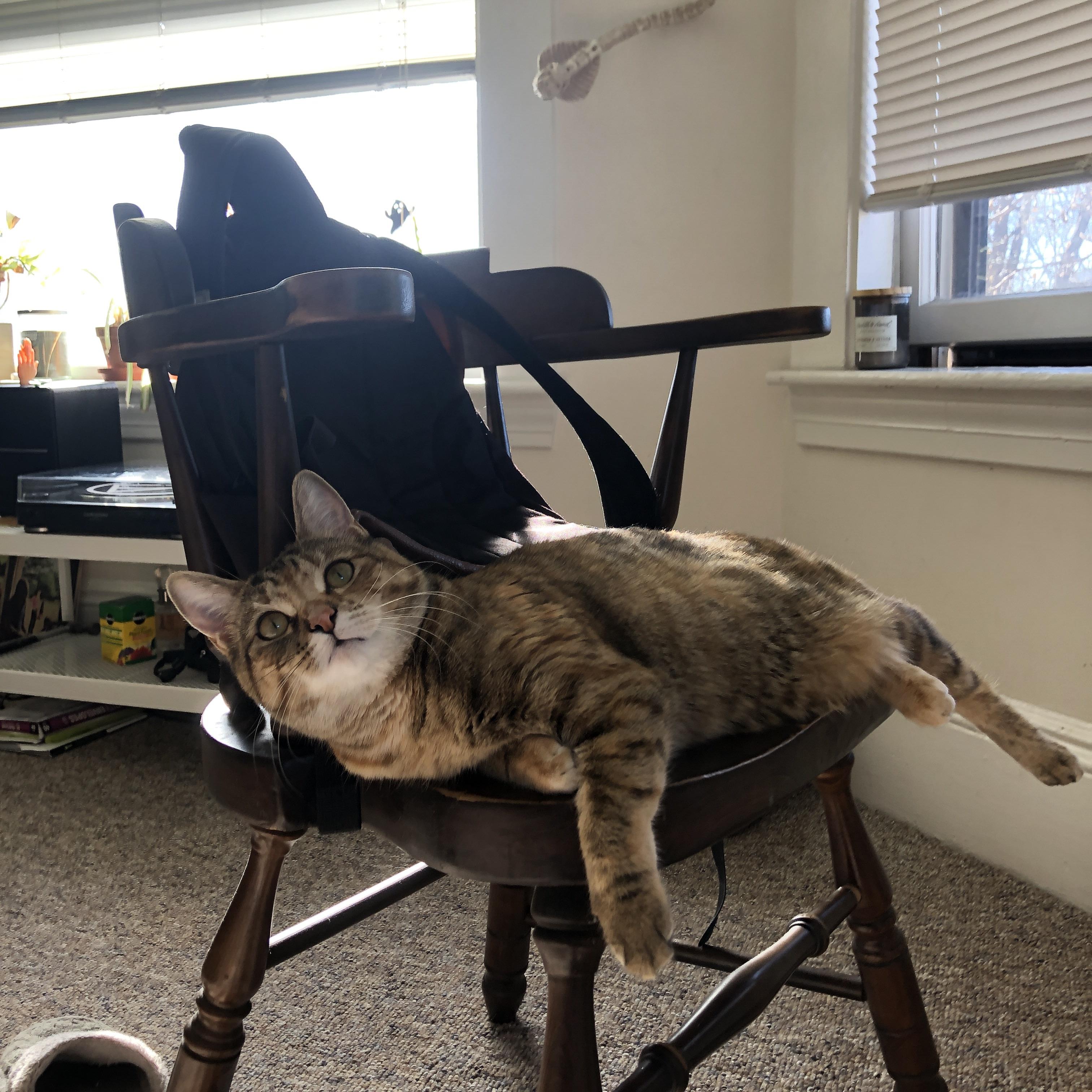 乌拉圭队在巴黎奥运会比赛中展现出强大的远射能力，乌拉圭队史第一射手