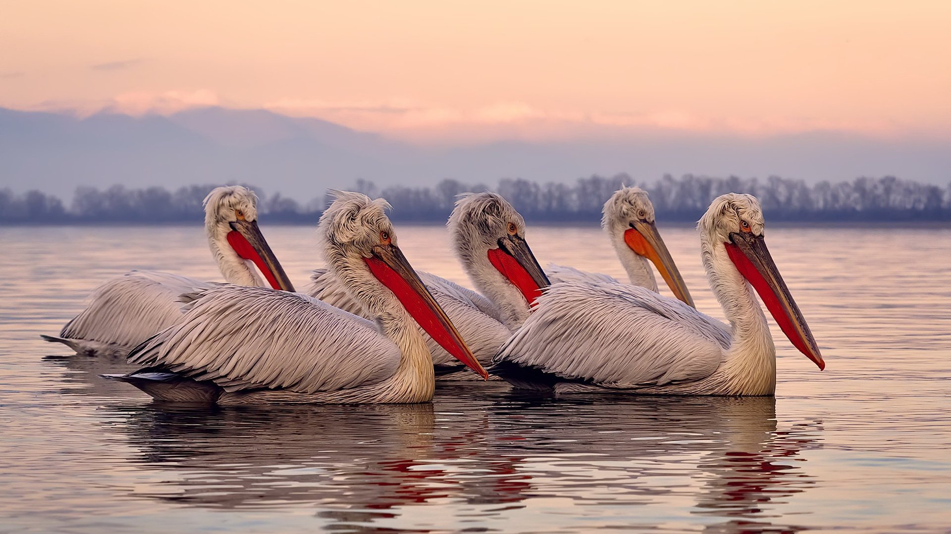 吉达联合积极备战亚冠赛事，吉达是哪里