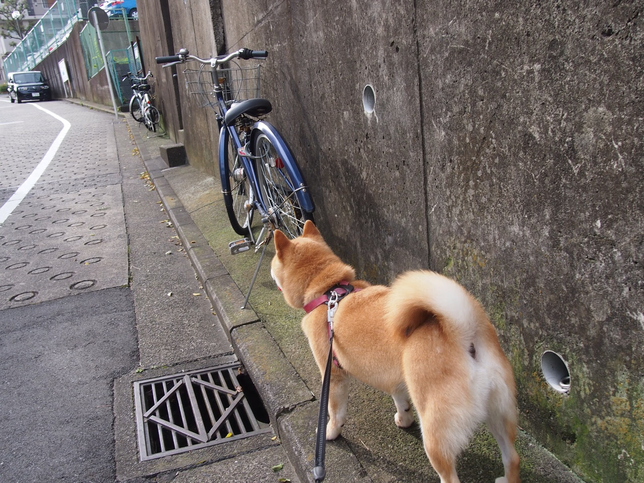 九游网页版入口-弱队在比赛中力挽狂澜，摘得一场胜利，弱队和强队之间的比赛,结果往往不言而喻
