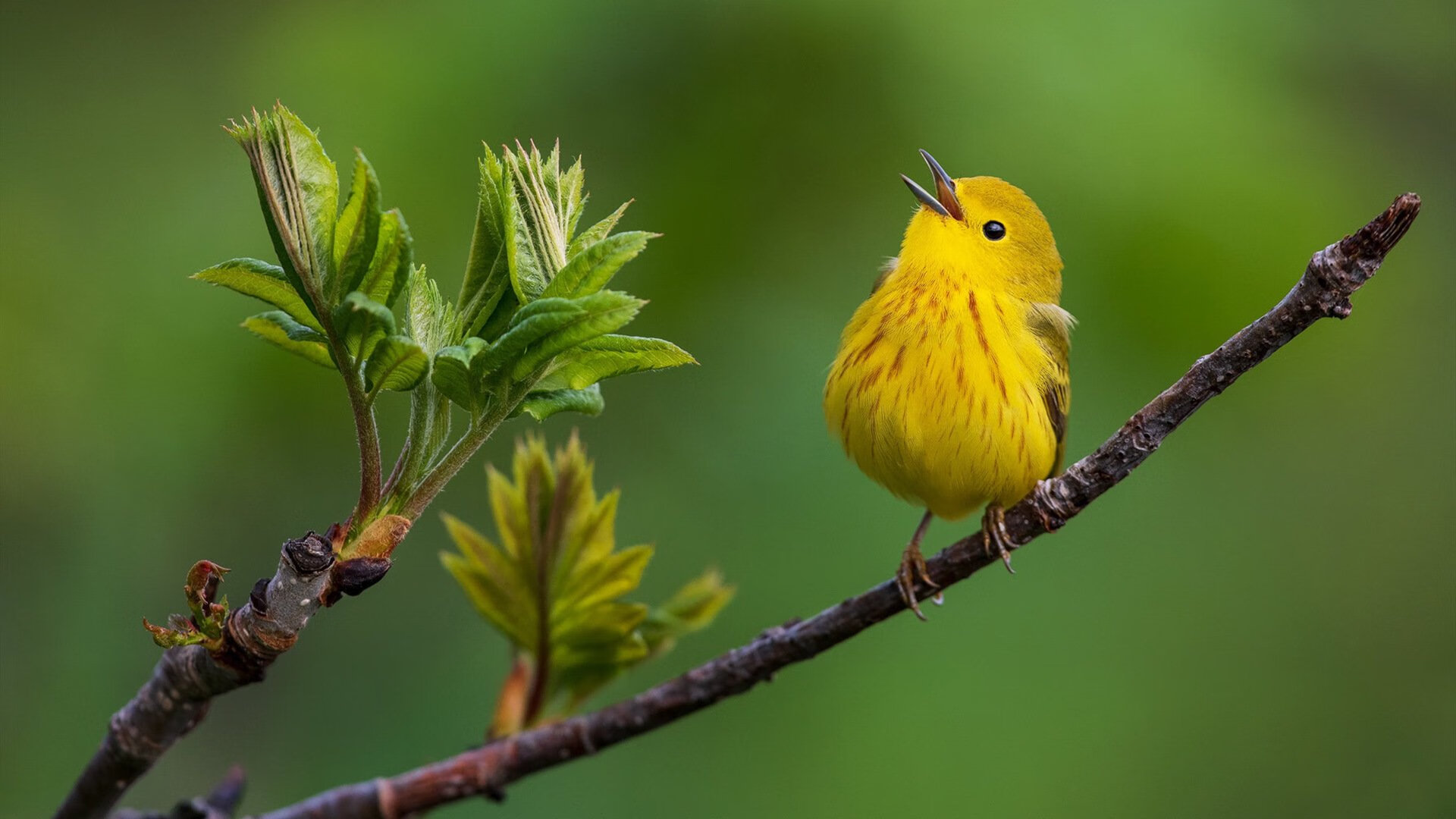 九游网页版入口-是否应成立中性第三方考核国家队成绩，是否应成立中性第三方考核国家队成绩的公司