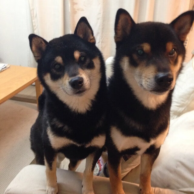 阿尔特塔强调团队合作,提升球队凝聚力,阿尔特塔集锦