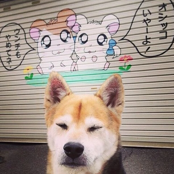 德甲球队数据驱动的快速反击战术优化案例,足球快速反击战术要点