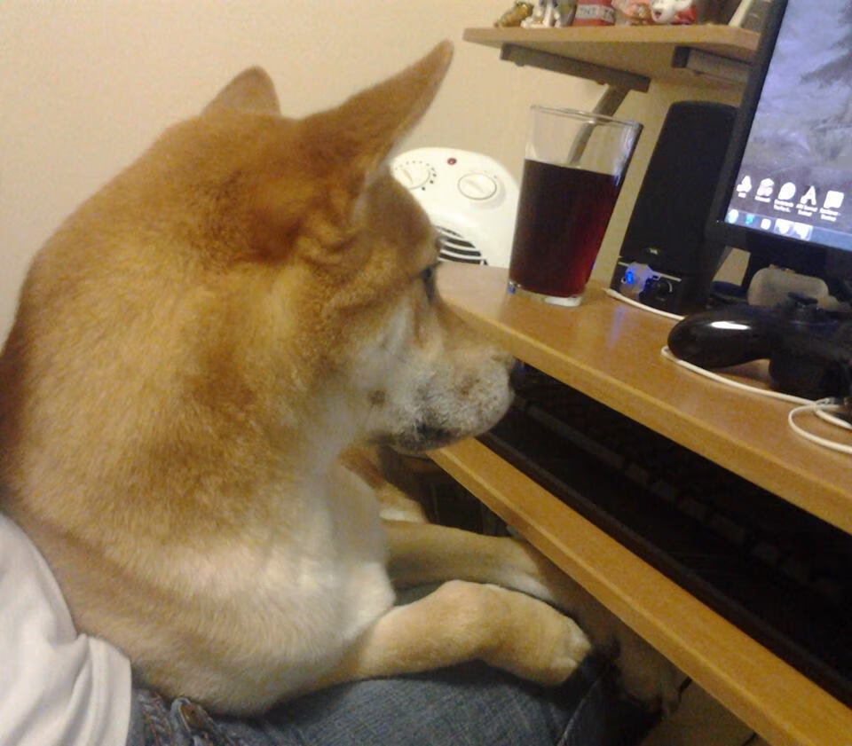 篮球运动员比赛焦虑管理及心理干预策略,篮球运动员的心理选材