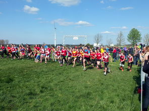 九游娱乐官网 (jiuyou)-青少年体育锻炼促进策略与实践，青少年体育锻炼方案