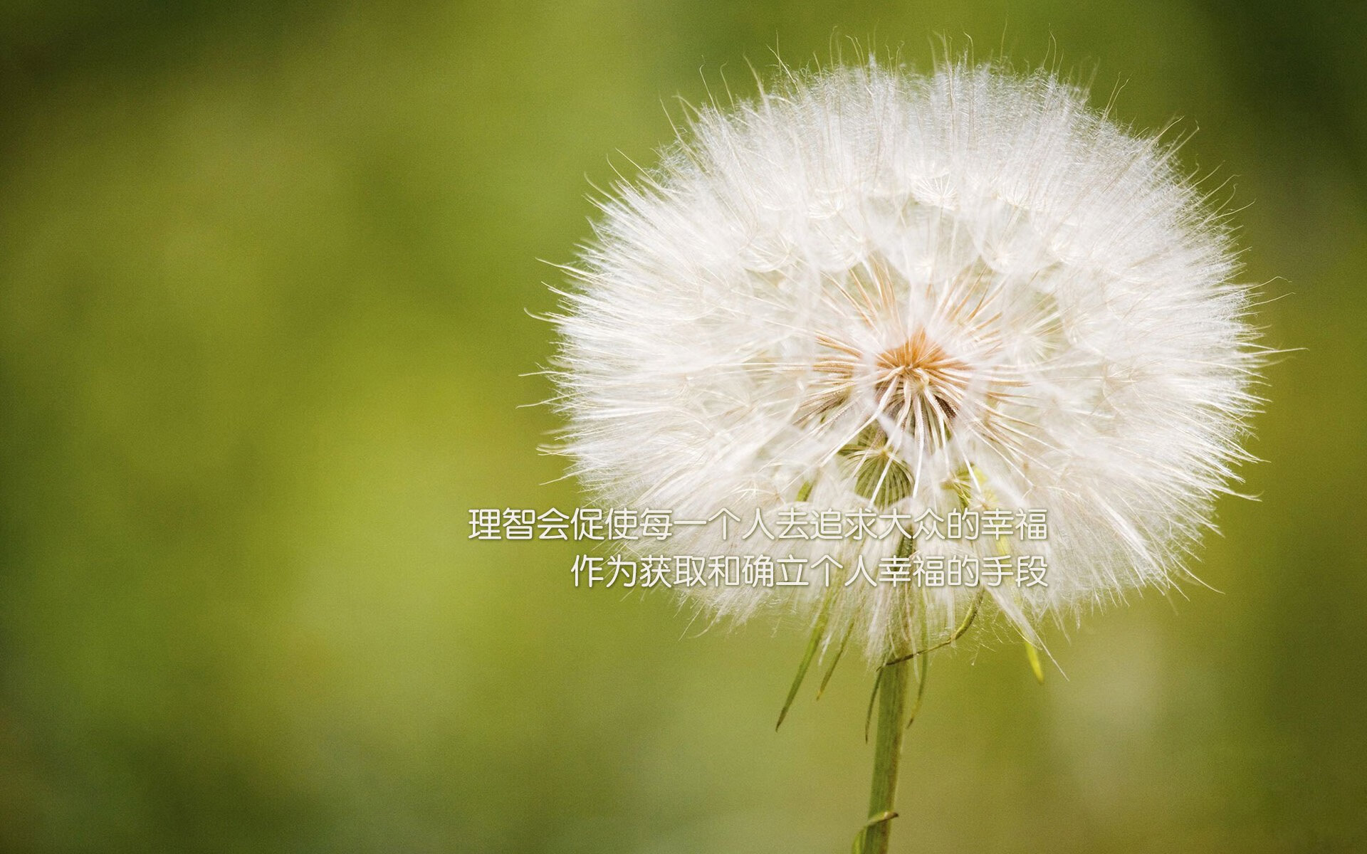 九游登录中心-“武汉马拉松：全球马拉松爱好者齐聚赛场”