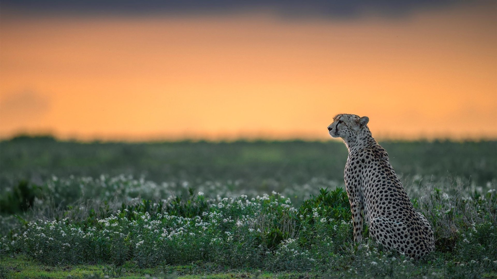 俱乐部财务风控体系不健全,财务风险控制体系不够完善