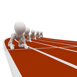 九游网页版入口-全运会筹备工作进入冲刺阶段，全运会备战方案