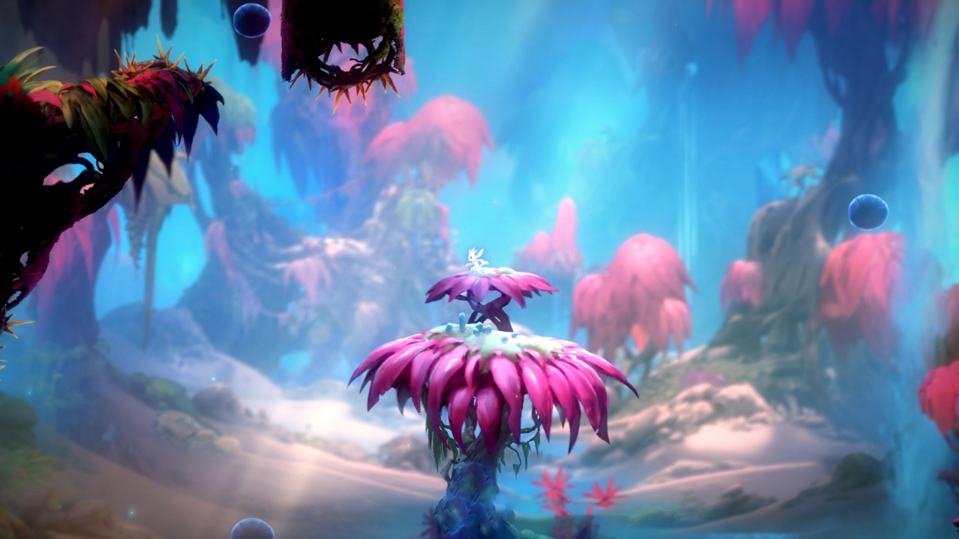 九游娱乐APP-高尔的进攻组织与快速反击，令袋鼠队攻势凌厉